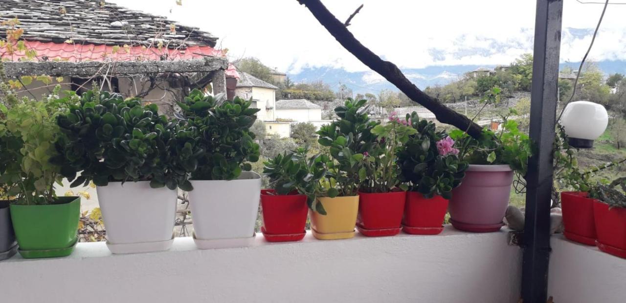 Sokolli Guest House Gjirokastra Zewnętrze zdjęcie